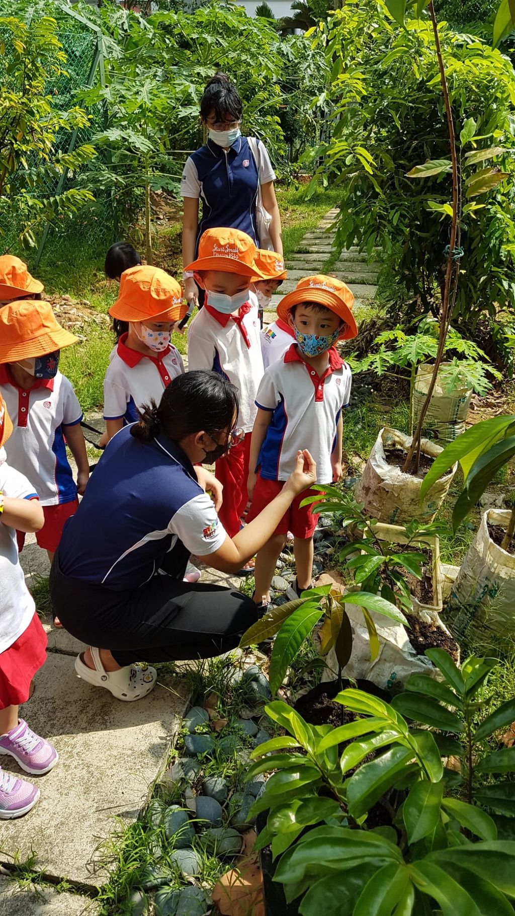 Displaying Care for the Environment Through Planting — photo 7