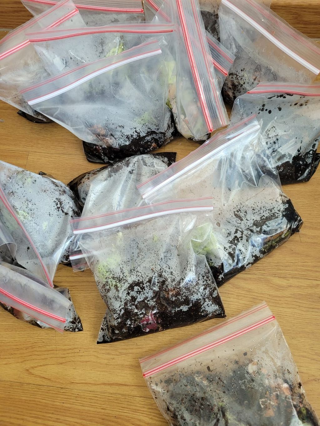 The journey of building our compost bin! — photo 4