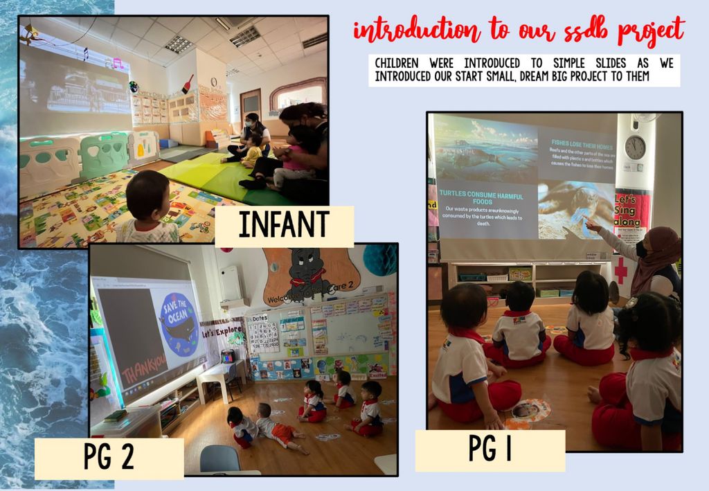 The Importance of Marine Wildlife Conservation 🐳🪸 — photo 4