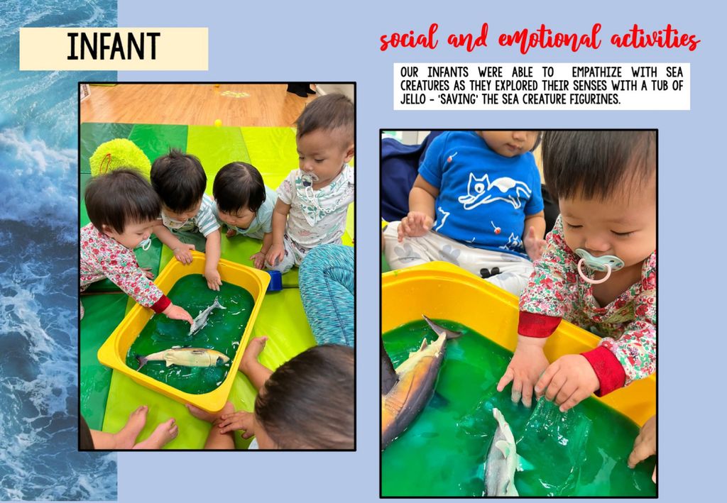 The Importance of Marine Wildlife Conservation 🐳🪸 — photo 6