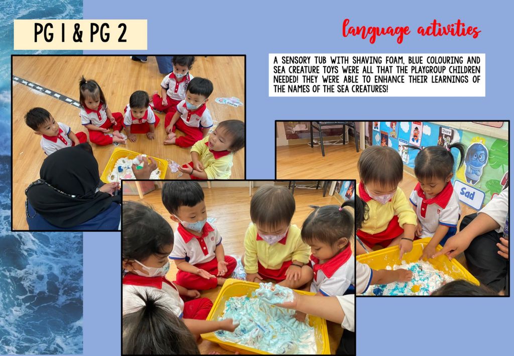 The Importance of Marine Wildlife Conservation 🐳🪸 — photo 11