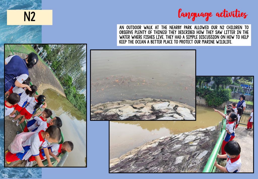 The Importance of Marine Wildlife Conservation 🐳🪸 — photo 14