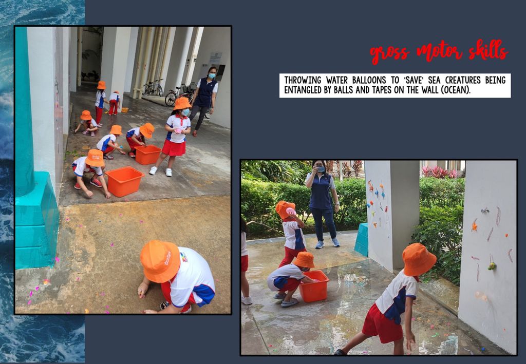 The Importance of Marine Wildlife Conservation 🐳🪸 — photo 23