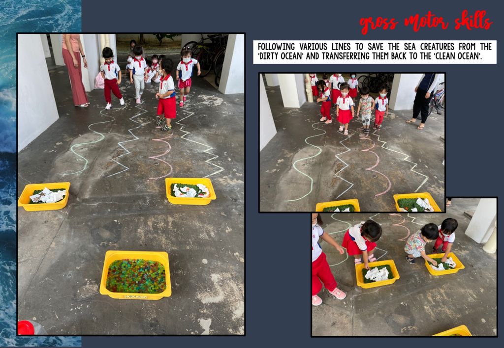 The Importance of Marine Wildlife Conservation 🐳🪸 — photo 25