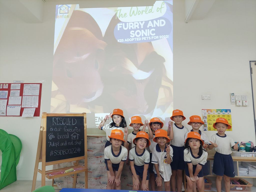 Start Small Dream Big (SSDB): Part 4 (closure) — photo 2