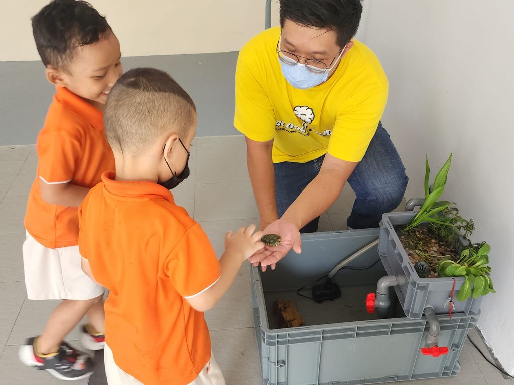Aquaponic — photo 4