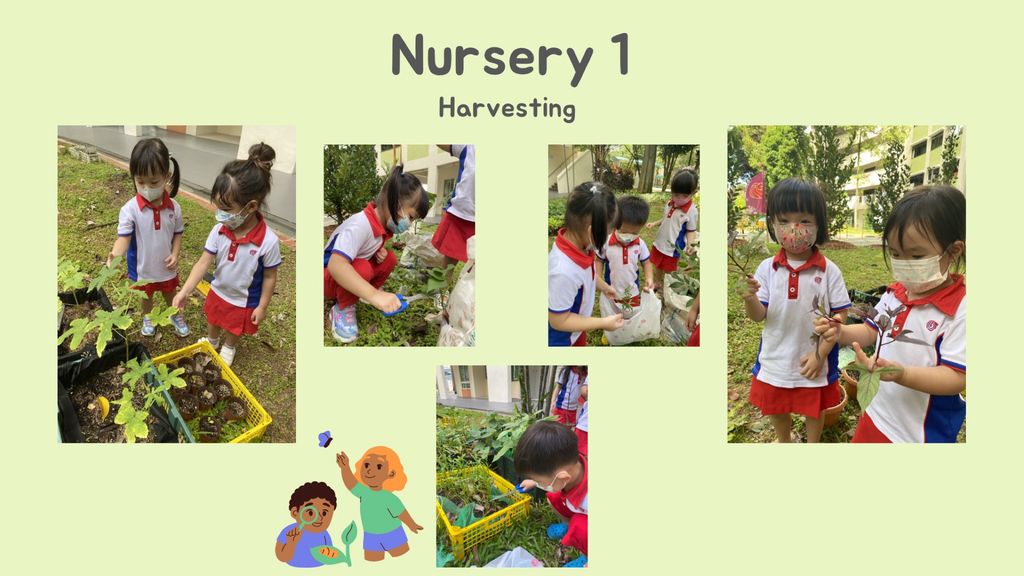 SSDB 2022 - For you, For me and For us from Garden to Table — photo 1