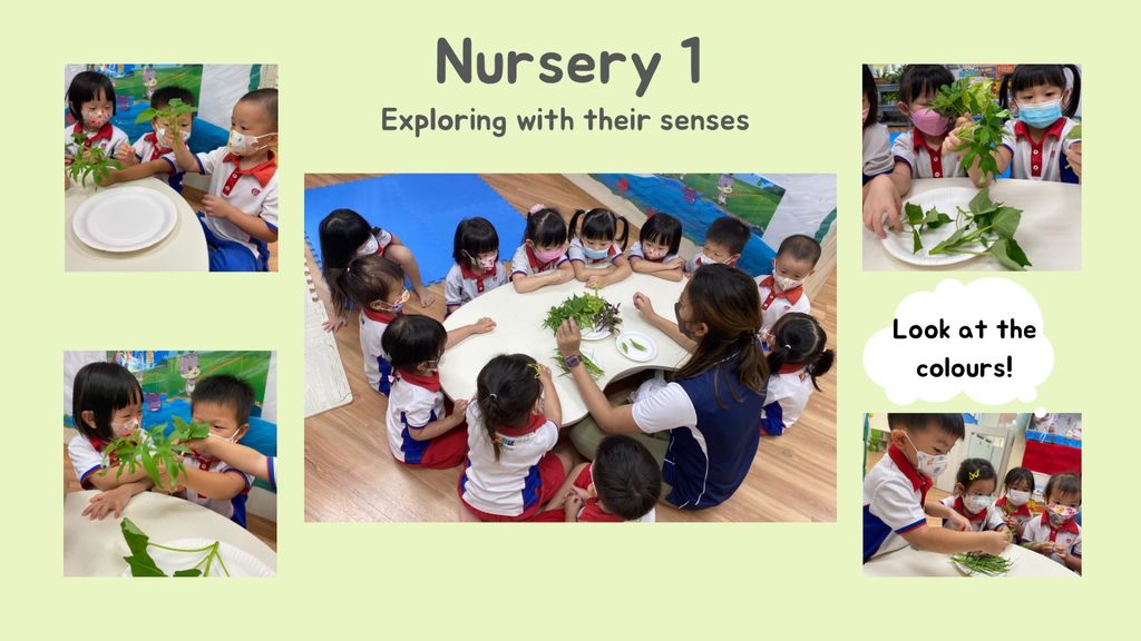 SSDB 2022 - For you, For me and For us from Garden to Table — photo 2