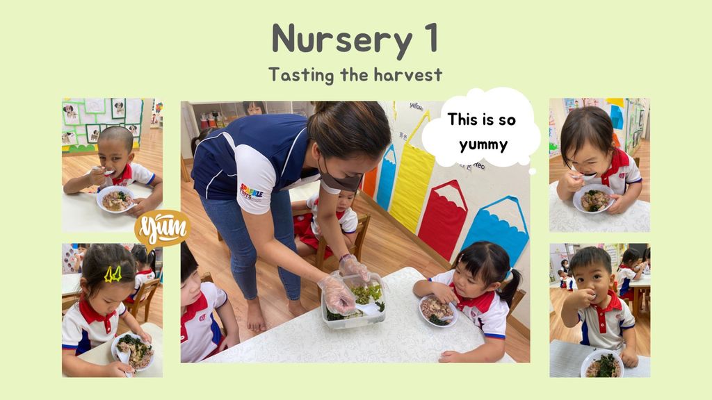 SSDB 2022 - For you, For me and For us from Garden to Table — photo 3