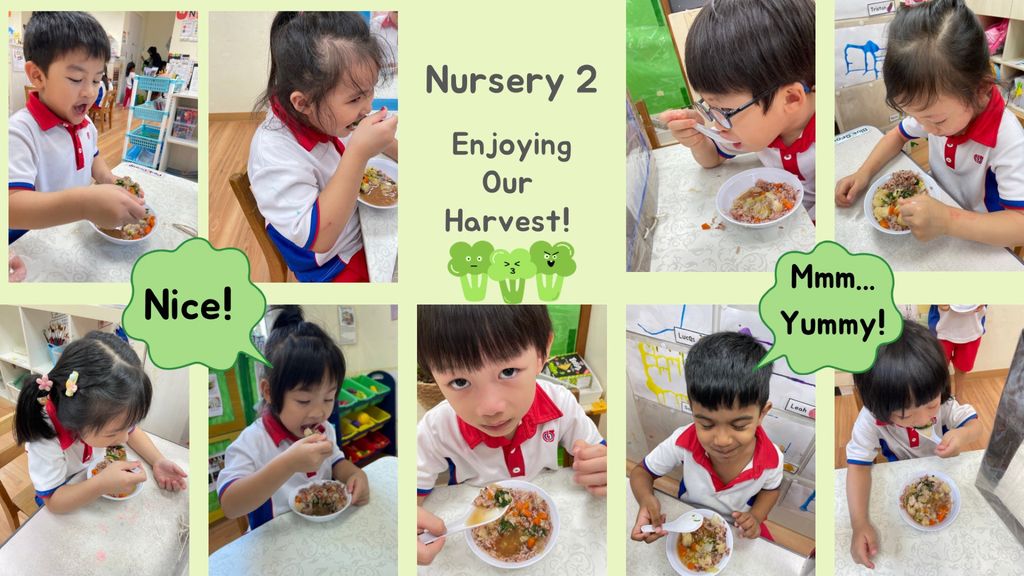 SSDB 2022 - For you, For me and For us from Garden to Table — photo 1