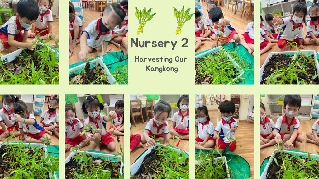 SSDB 2022 - For you, For me and For us from Garden to Table — photo 2
