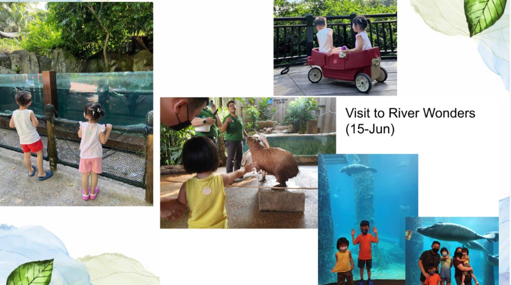 SSDB 2022: Protecting Animals and the Environment — photo 24