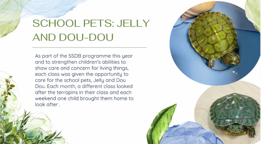 SSDB 2022: Protecting Animals and the Environment — photo 27