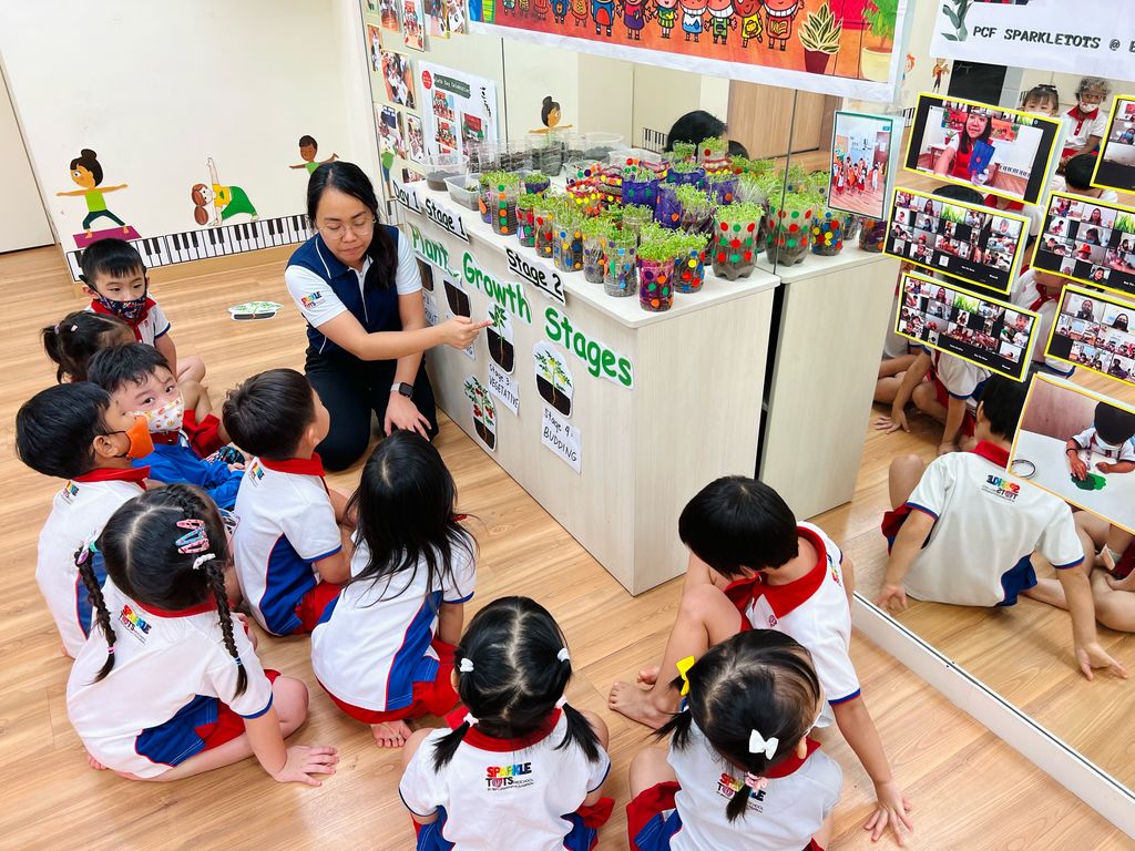SSDB 2022 Finale - Displaying Care for the Environment Through Planting — photo 3