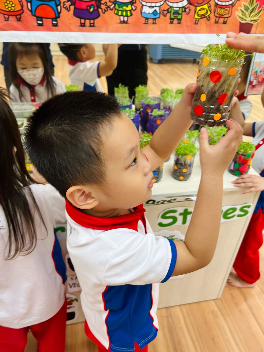 SSDB 2022 Finale - Displaying Care for the Environment Through Planting — photo 7
