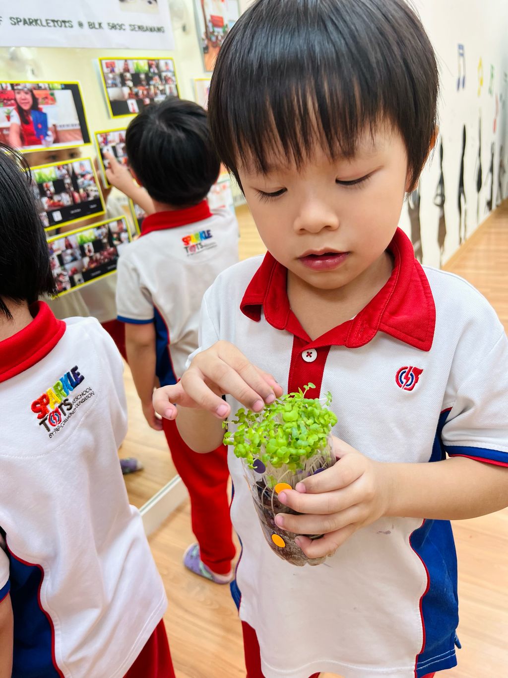 SSDB 2022 Finale - Displaying Care for the Environment Through Planting — photo 8