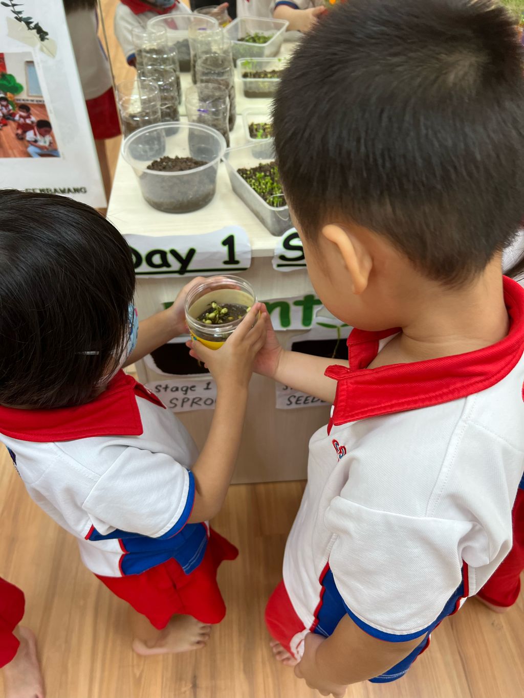 SSDB 2022 Finale - Displaying Care for the Environment Through Planting — photo 9