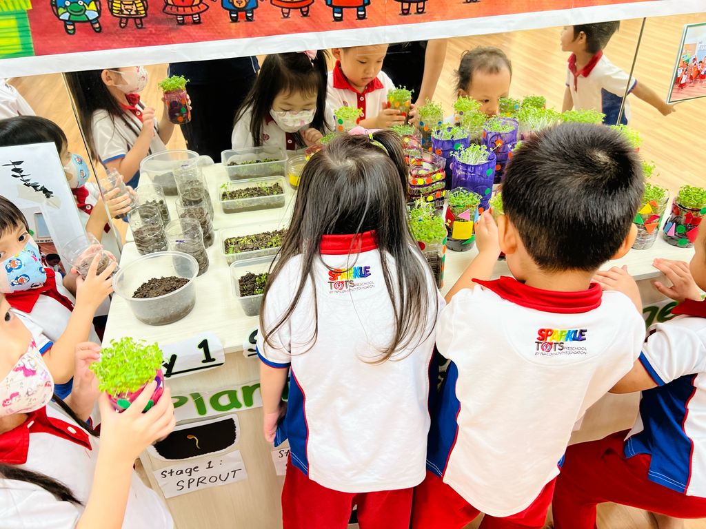 SSDB 2022 Finale - Displaying Care for the Environment Through Planting — photo 10
