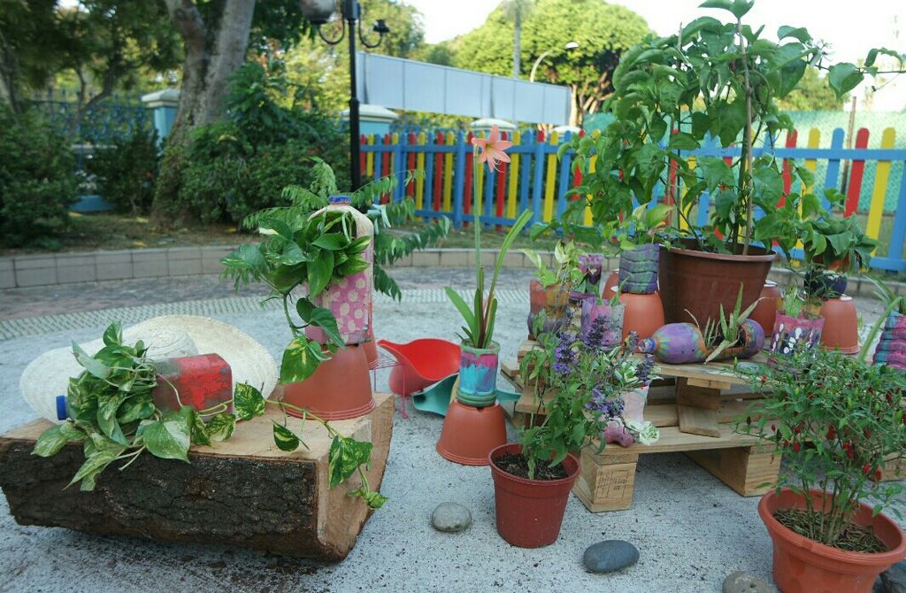 Garden Safari @ Kidz Meadow Kindergarten Pasir Ris — photo 3