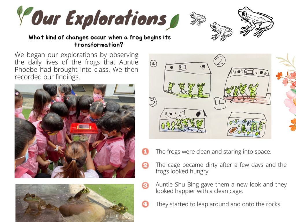 Exploring Different Forms of Transformation