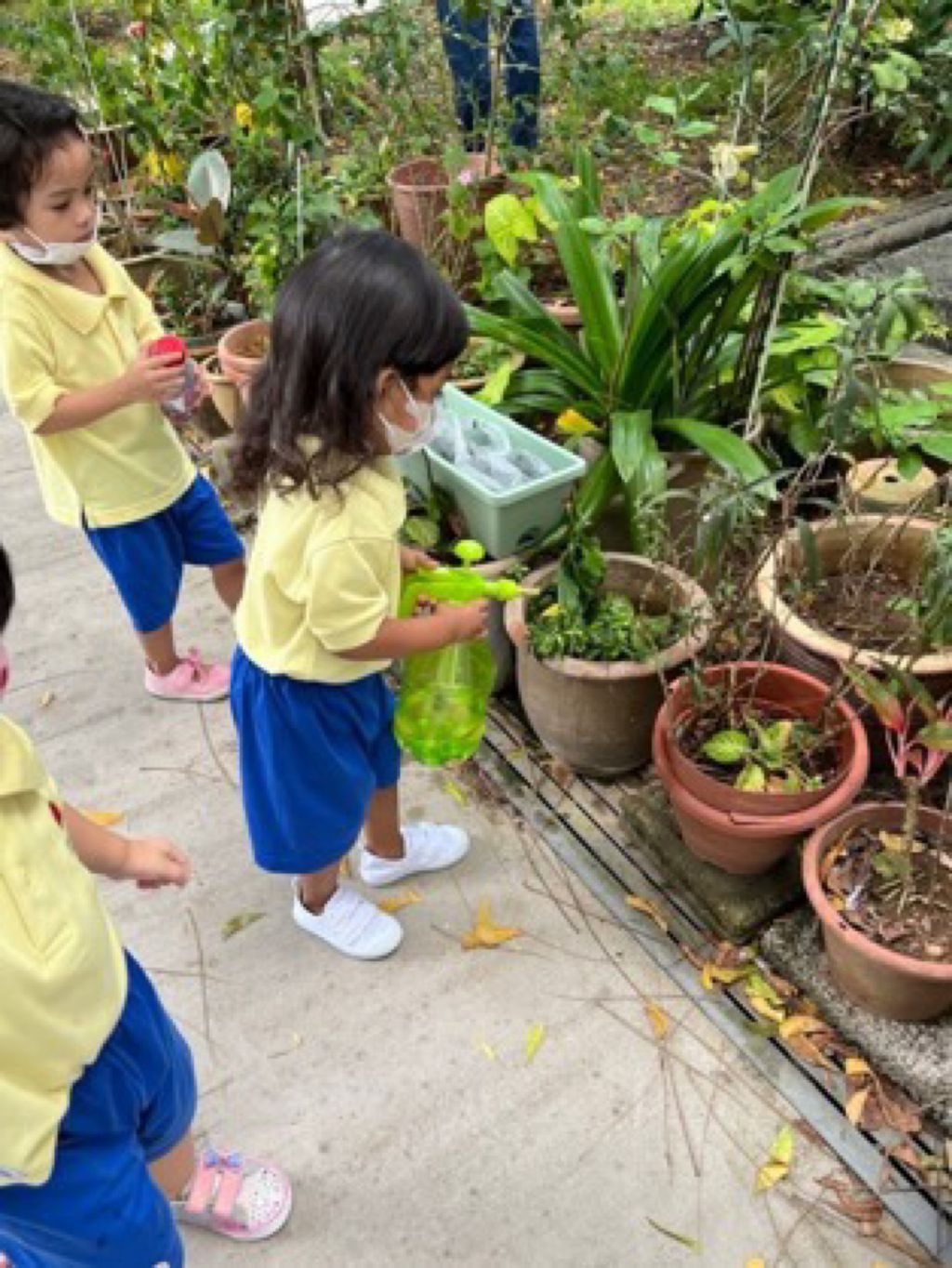 Appleland Montessori Garden.