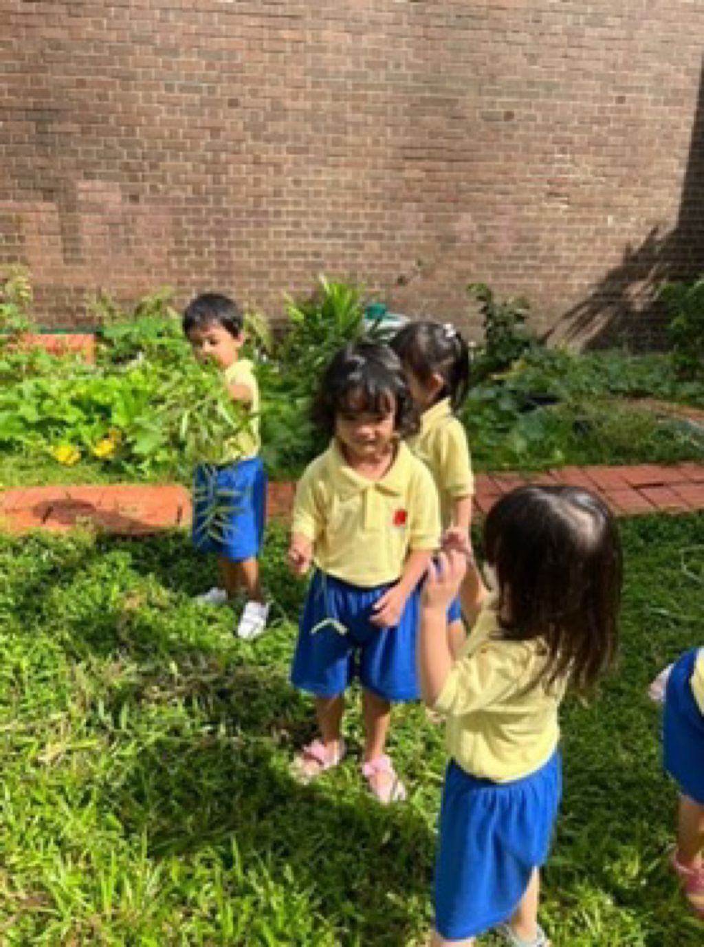 Appleland Montessori Garden. — photo 2