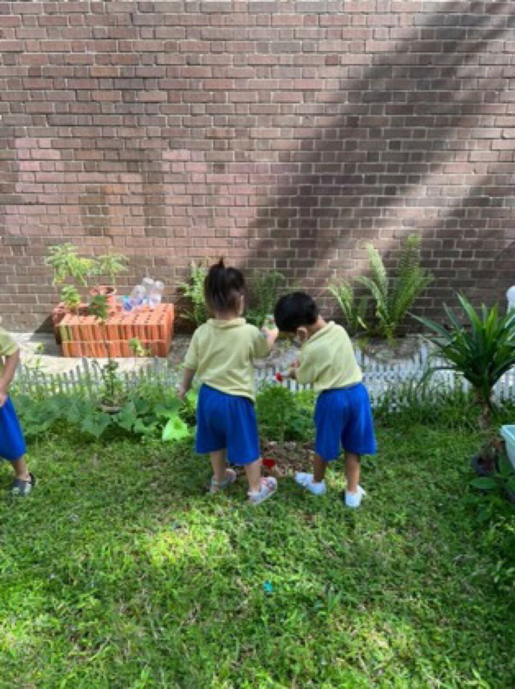 Appleland Montessori Garden. — photo 3