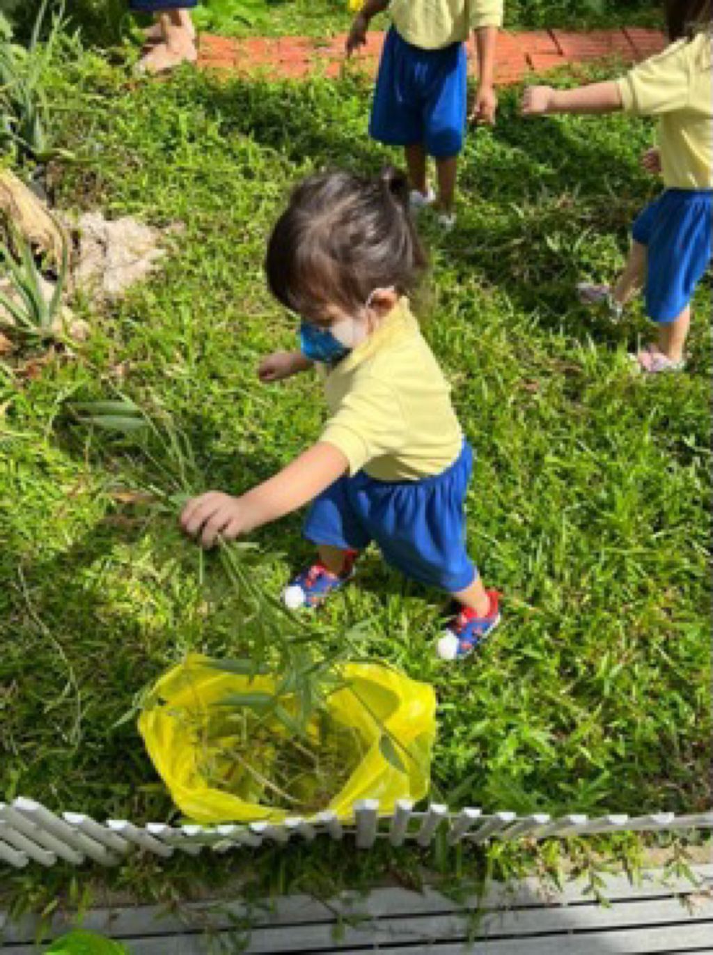 Appleland Montessori Garden. — photo 4