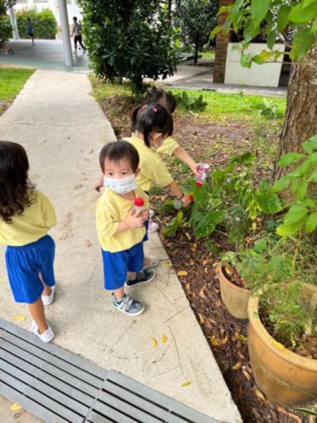 Appleland Montessori Garden. — photo 5