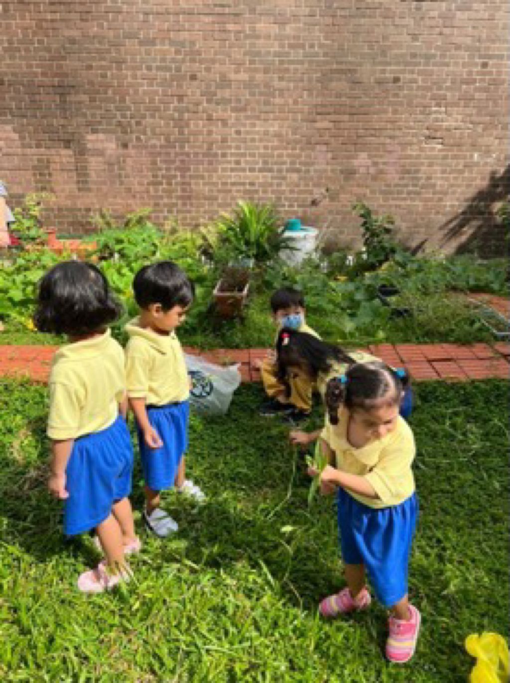 Appleland Montessori Garden. — photo 6