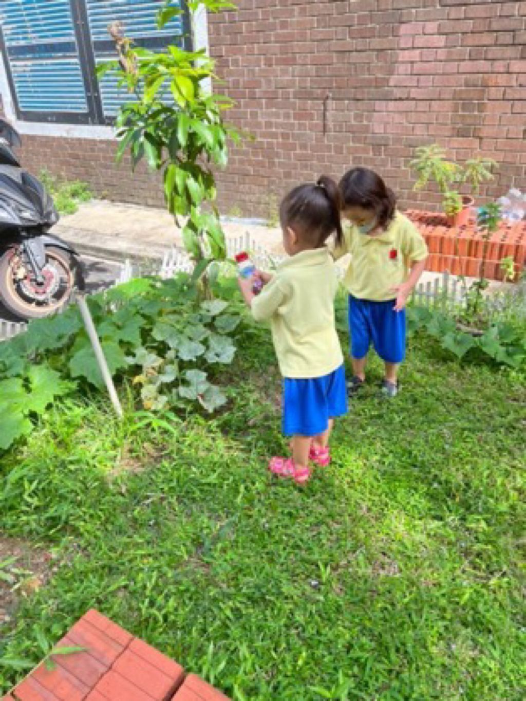Appleland Montessori Garden. — photo 7