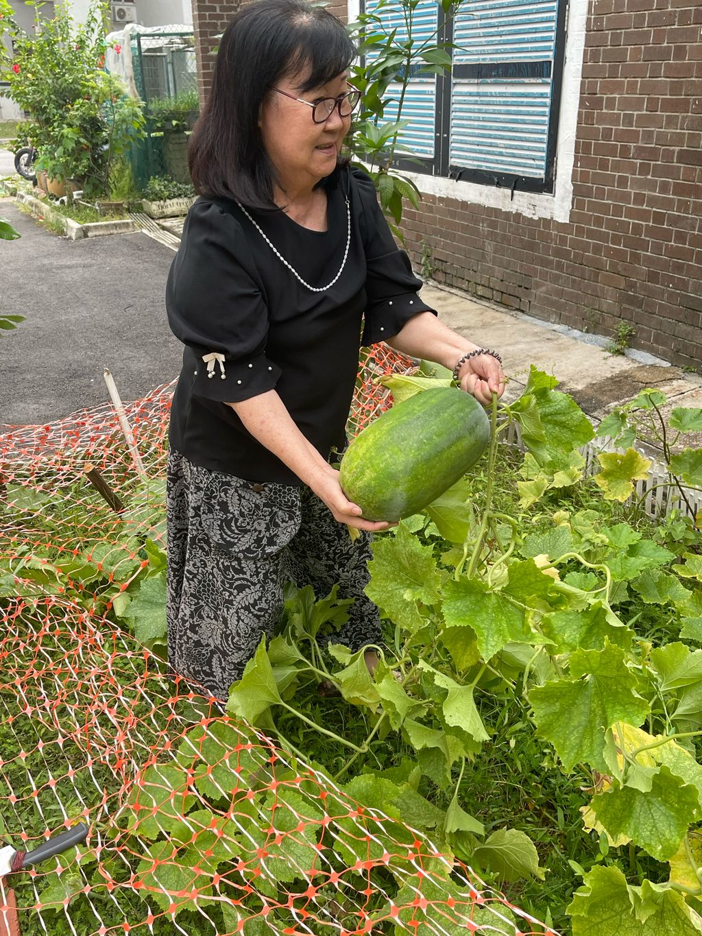 Appleland Montessori Garden. — photo 1