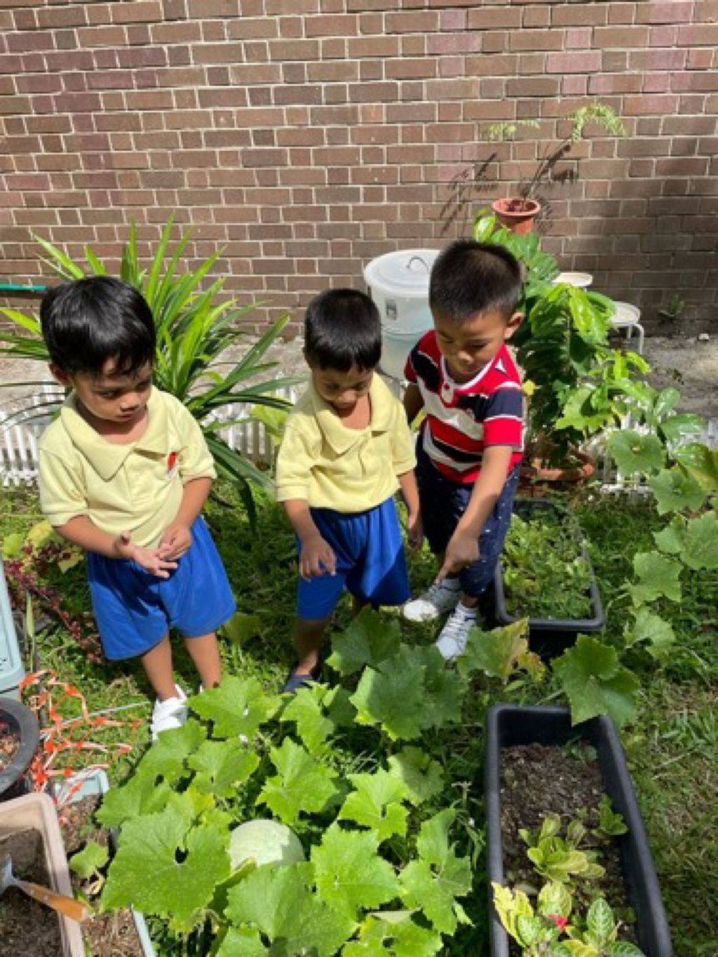 Appleland Montessori Garden. — photo 2