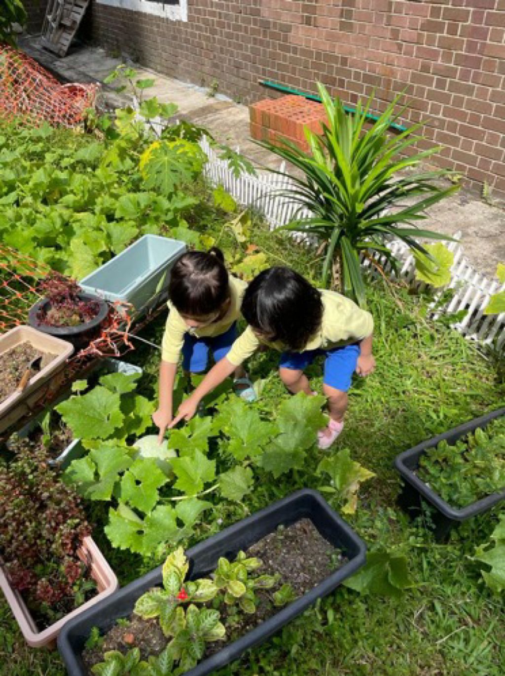 Appleland Montessori Garden. — photo 3