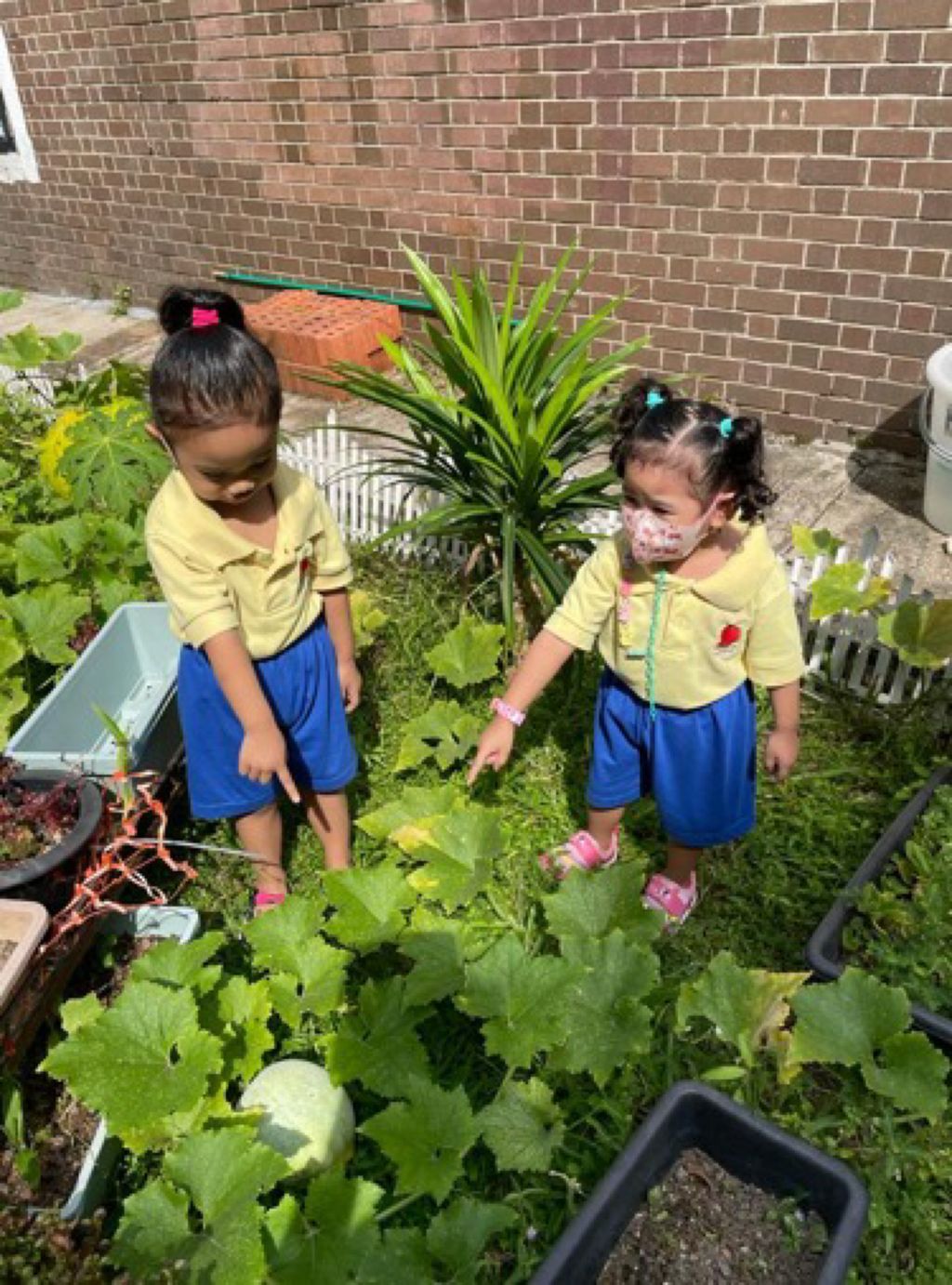 Appleland Montessori Garden. — photo 4