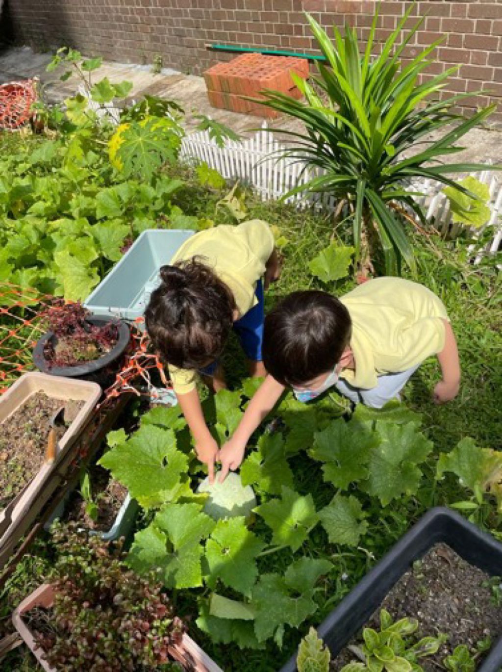 Appleland Montessori Garden. — photo 5