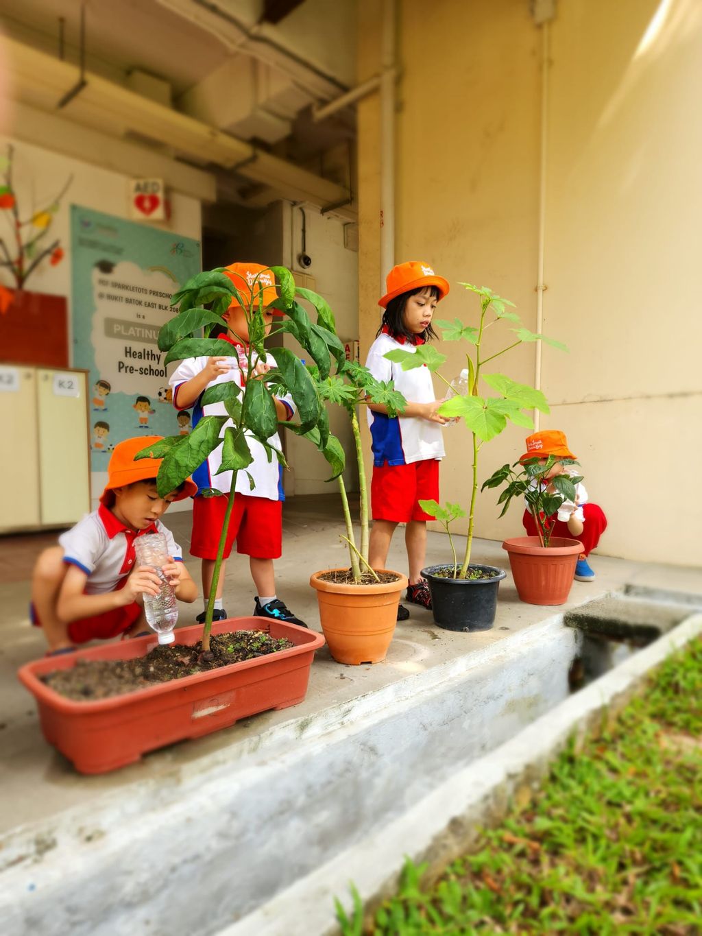 PCF Sparkletots Preschool @ Bukit Batok East Blk 208 SSDB 2023 Launch Party: Planting a SEED of Kindness — photo 5