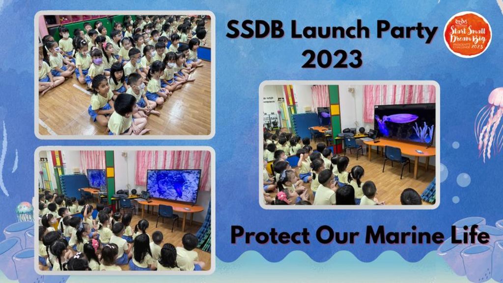 SSDB Launch Party- Protect our Marine Life — photo 6