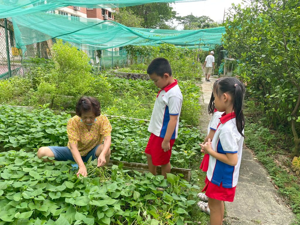 Children: Our Heritage (PCF Sparkletots @ Buona Vista Blk 4) — photo 5