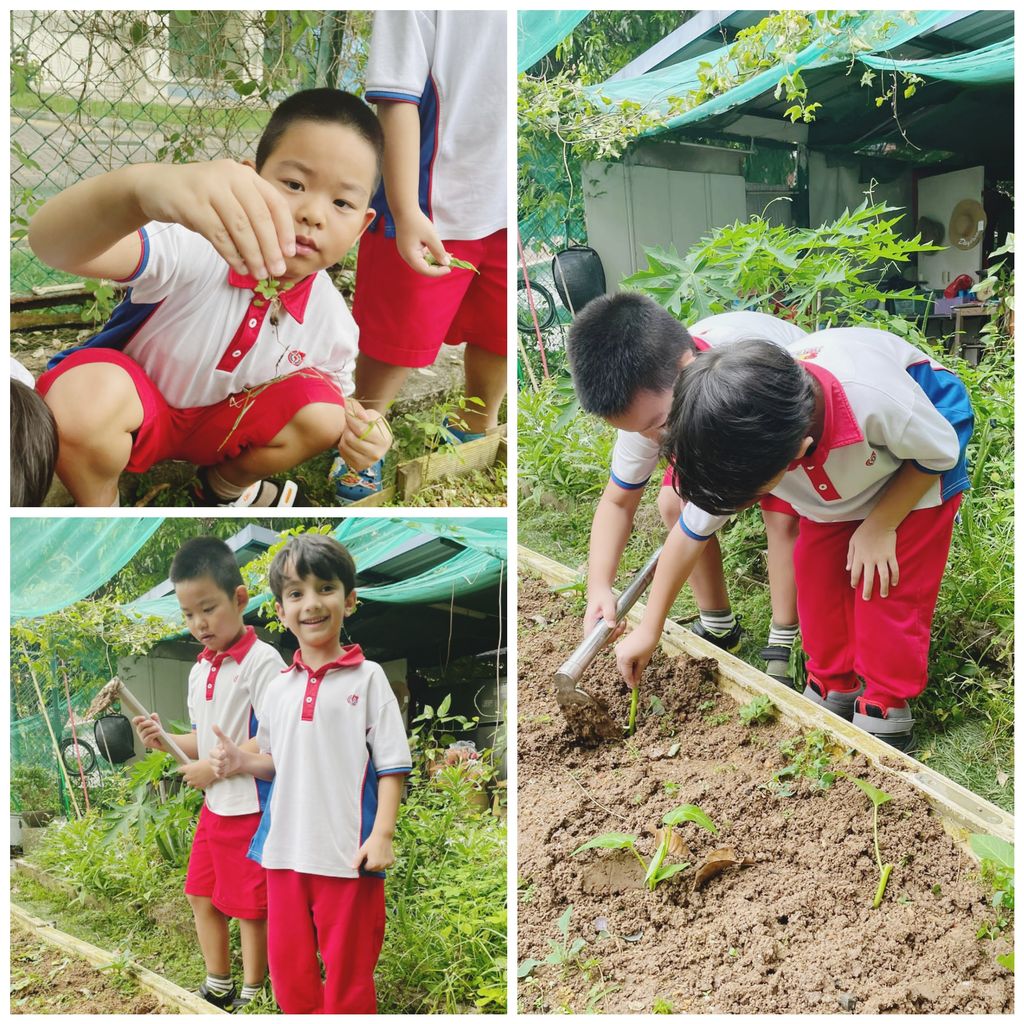 Children: Our Heritage (PCF Sparkletots @ Buona Vista Blk 4) — photo 8