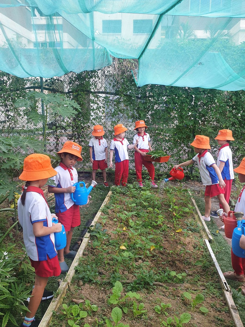 Children: Our Heritage (PCF Sparkletots @ Buona Vista Blk 4) — photo 14
