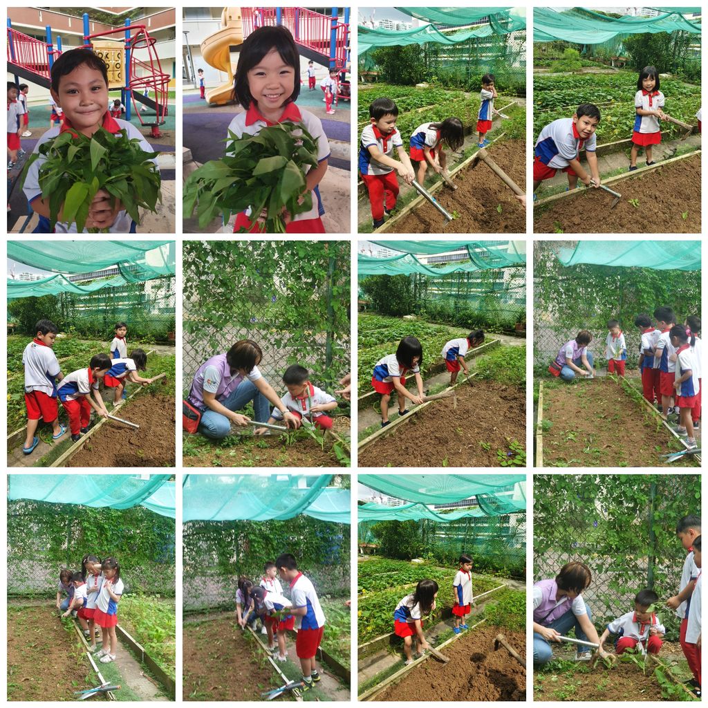 Children: Our Heritage (PCF Sparkletots @ Buona Vista Blk 4) — photo 20