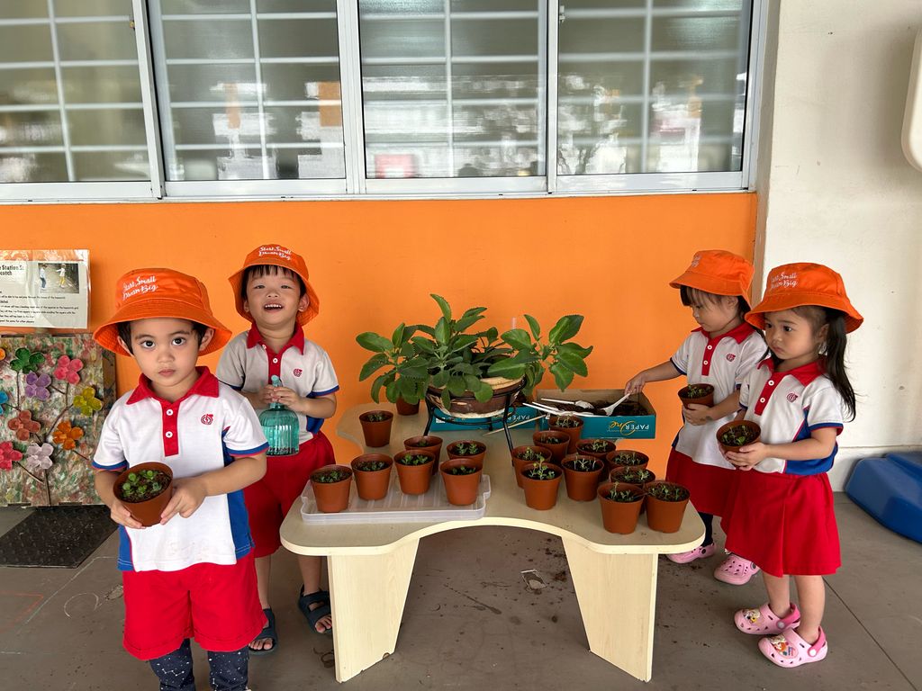 Planting a SEED for Mummy! — photo 3