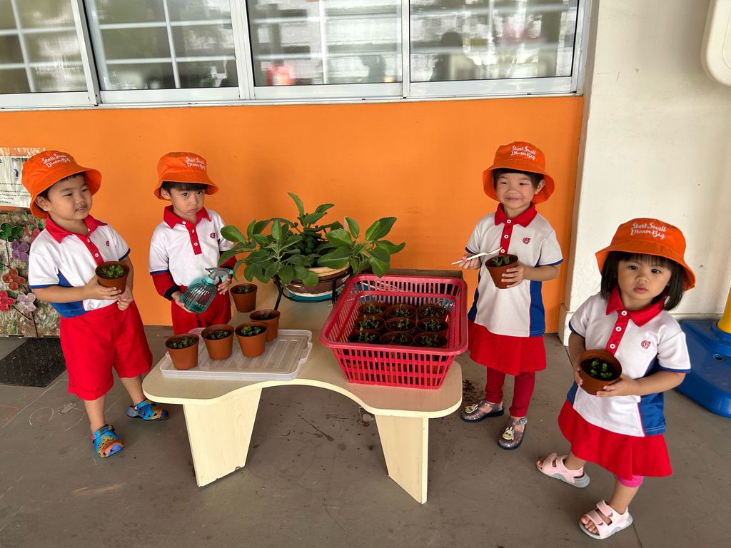 Planting a SEED for Mummy! — photo 4