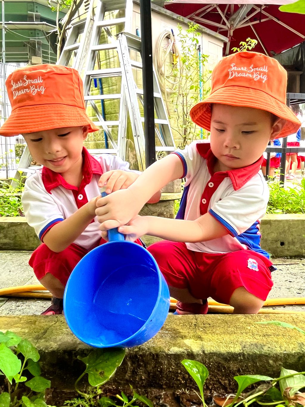 “From Garden to the Table” #ecogarden #SSDB2023 — photo 2