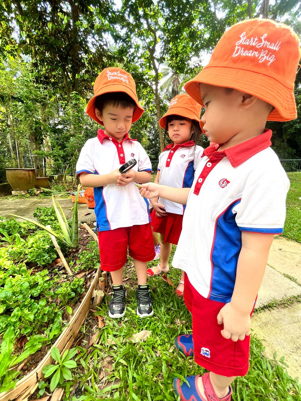 “From Garden to the Table” #ecogarden #SSDB2023 — photo 1
