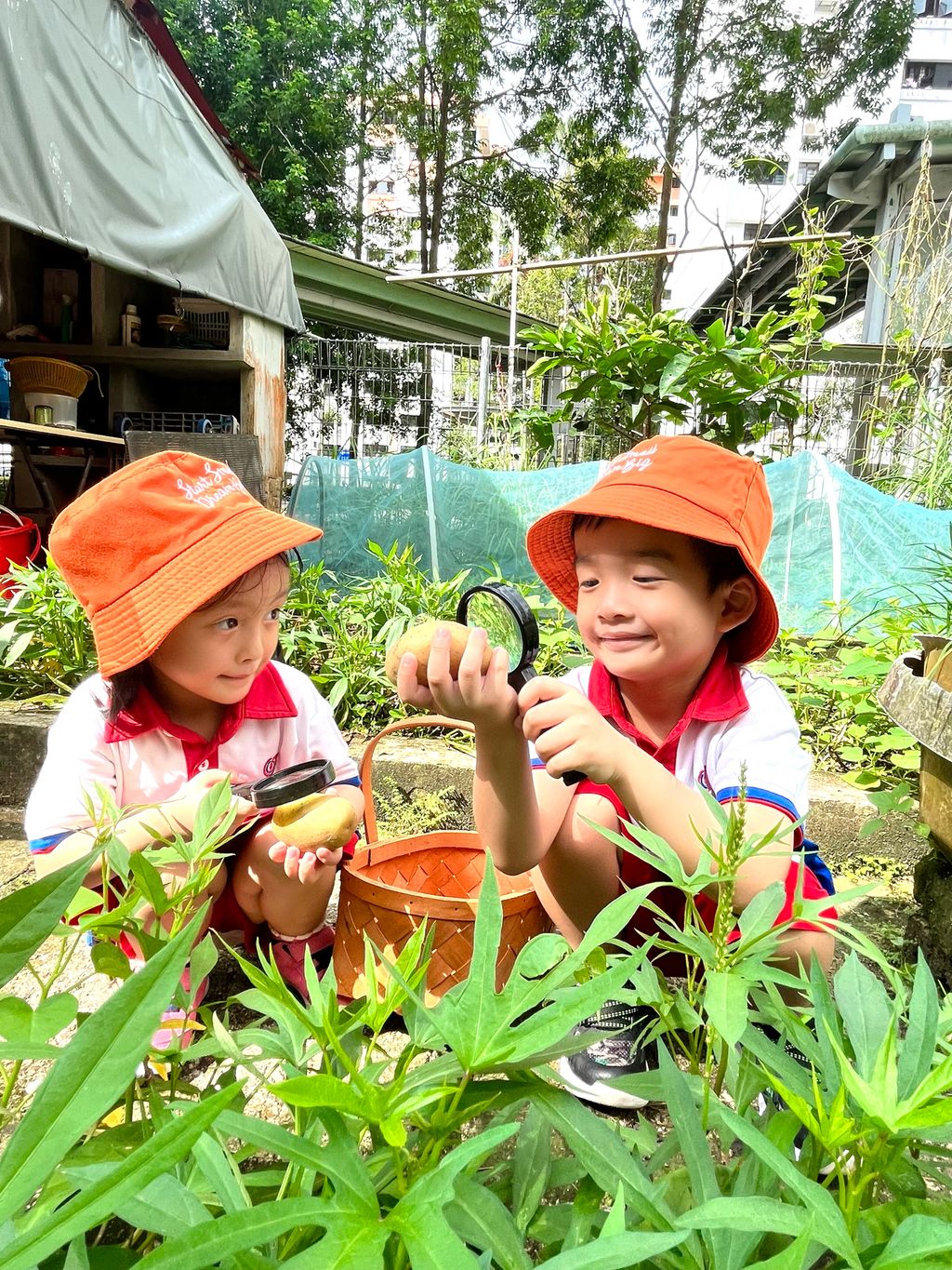 “From Garden to the Table” #ecogarden #SSDB2023 — photo 4