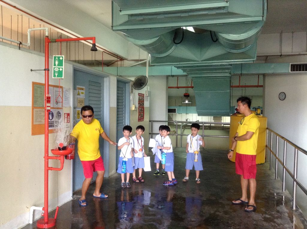Swimming Pool-Water Filtration — photo 5