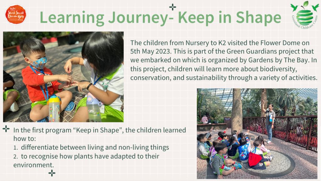 Greenland Childcare @ Fernvale Start Small Dream Big Project 2023 - Nurture Nature — photo 12
