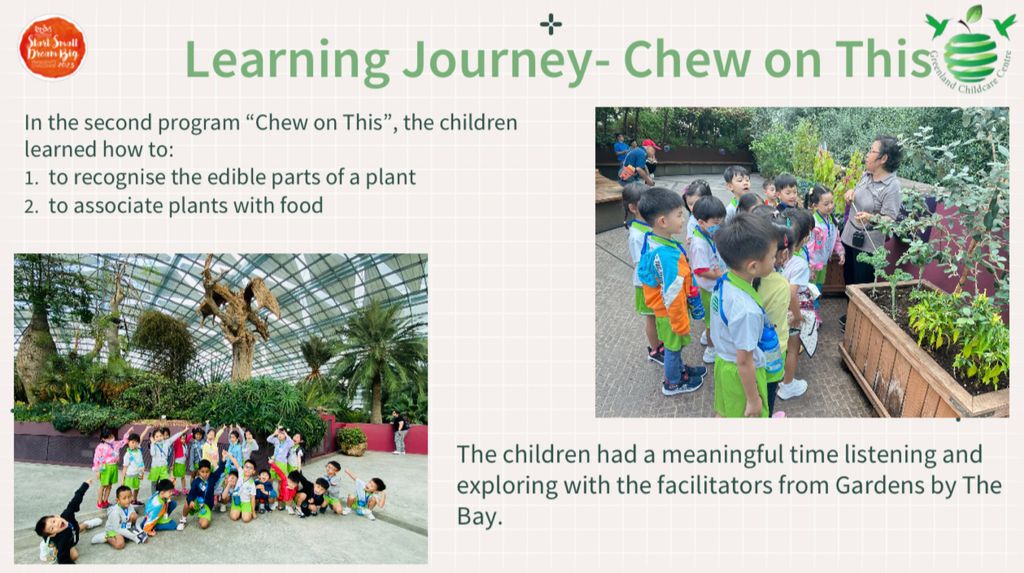 Greenland Childcare @ Fernvale Start Small Dream Big Project 2023 - Nurture Nature — photo 13